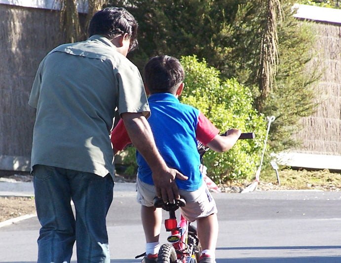 foster_parent_parent_therapist
